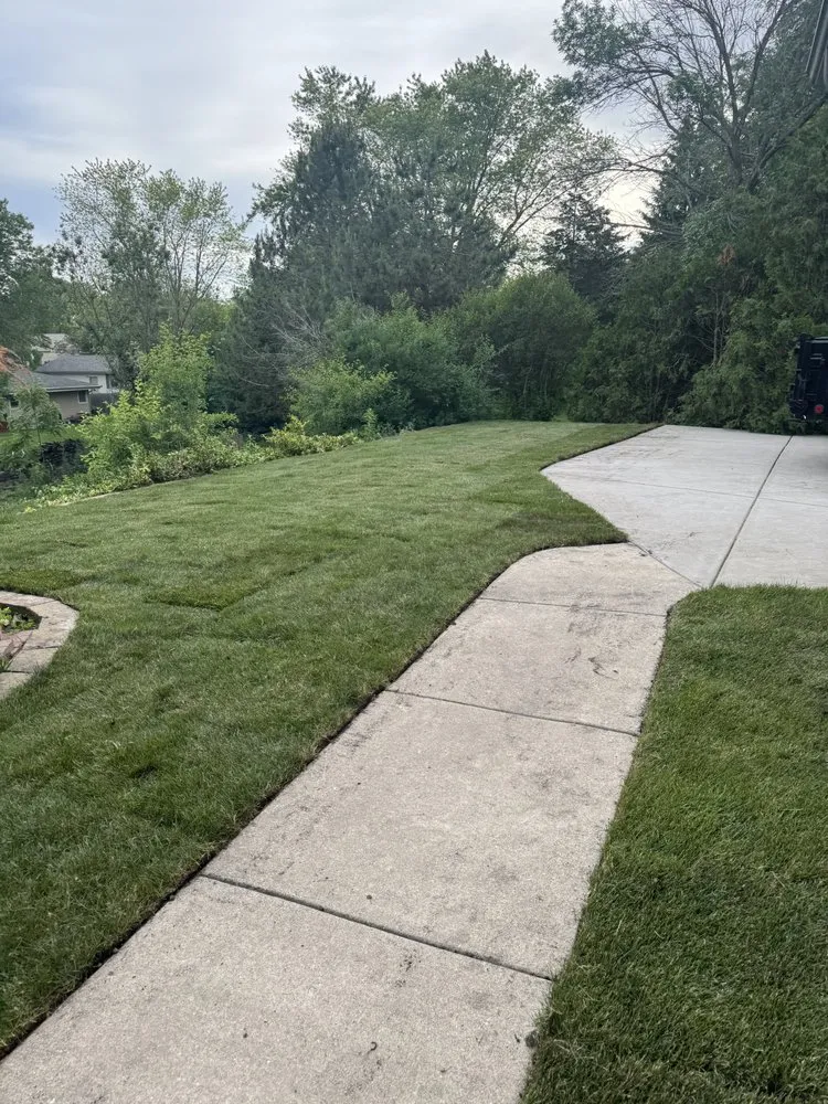 Expert yard maintenance experts serving Franklin, WI - Milosevic Landscape