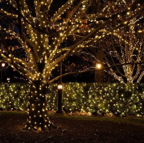 Professional landscape installation with custom design in Hendersonville, TN by Milosi Landscaping