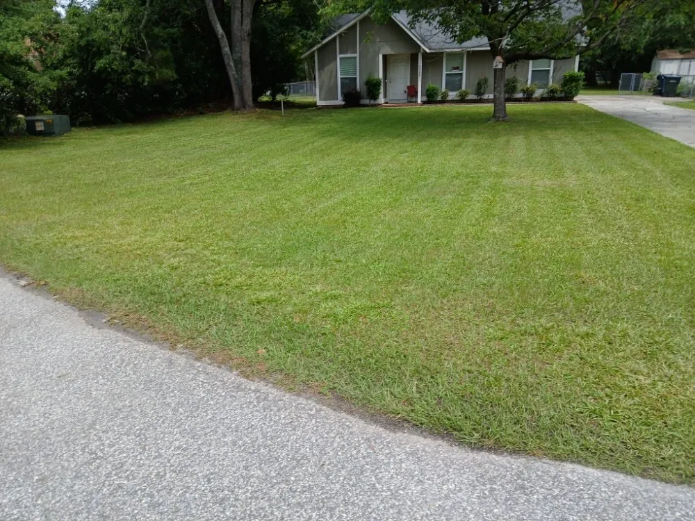 Professional yard cleanup service experts serving Raeford, NC - Milos's Landscaping