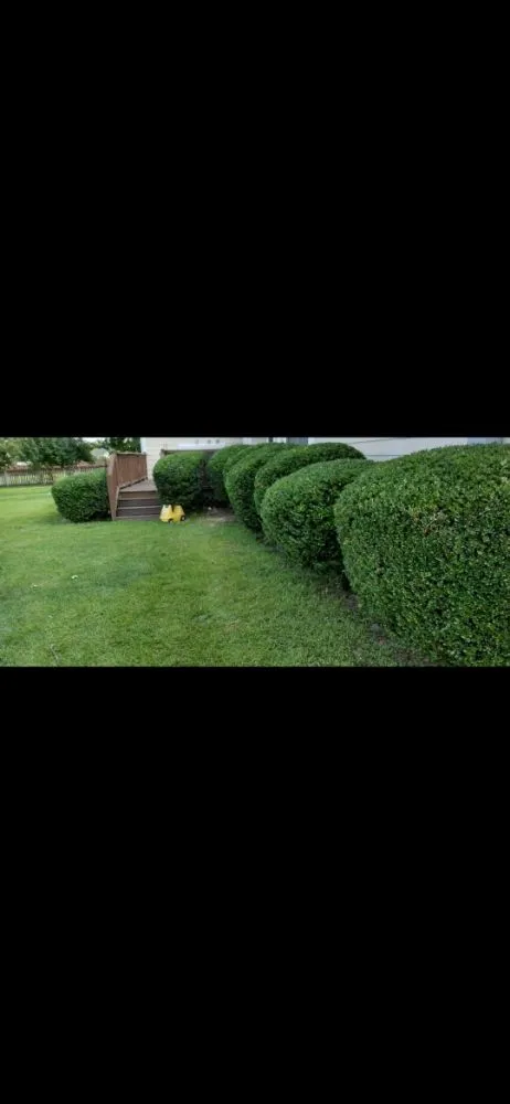 Expert outdoor landscaping in Raeford, NC - Milos's Landscaping