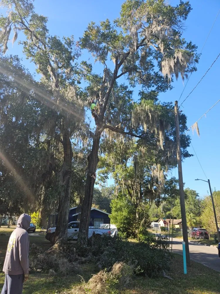 Trusted landscaping services in Starke, FL by Milton Baker Tree Service