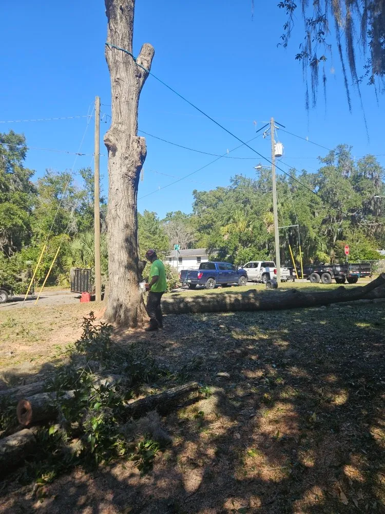 Affordable yard maintenance in Starke, FL by Milton Baker Tree Service