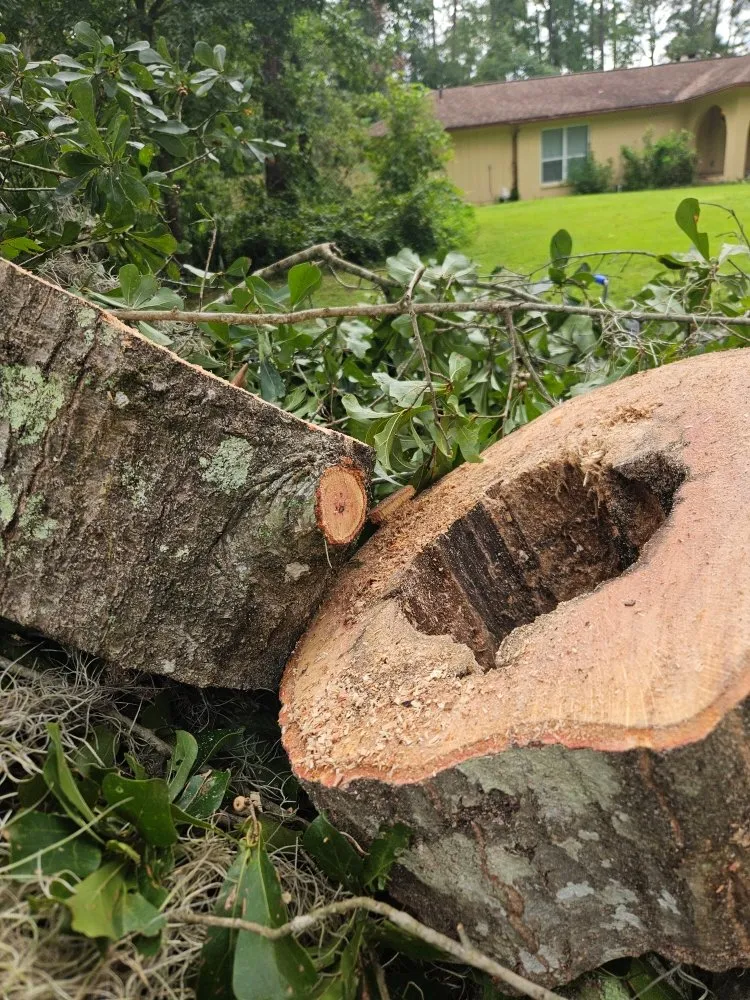 Local yard cleanup service in Starke, FL by Milton Baker Tree Service