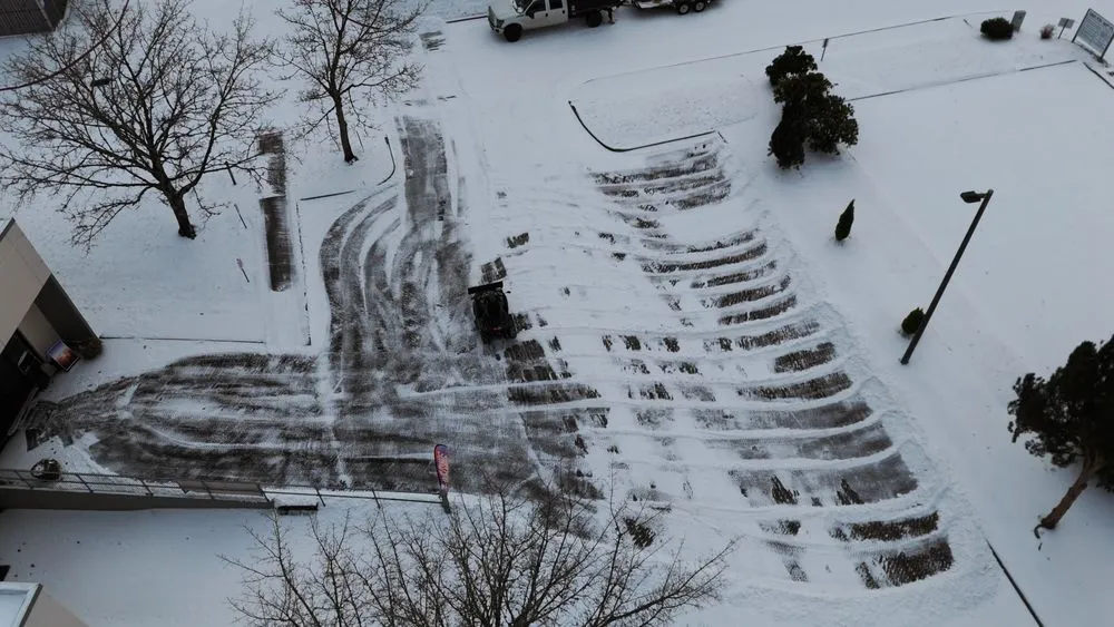 Reliable yard cleanup service experts serving Beaverton, OR - Milton Cleanup & More