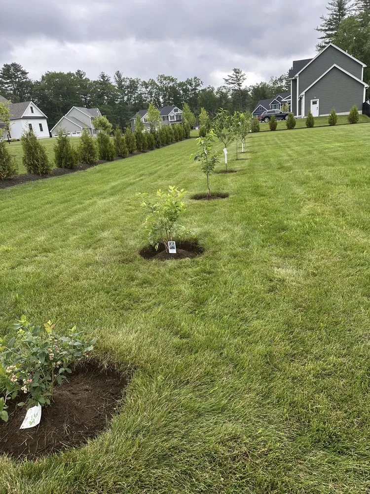 Professional residential landscaping in Methuen, MA - Milton Landscape and Construction