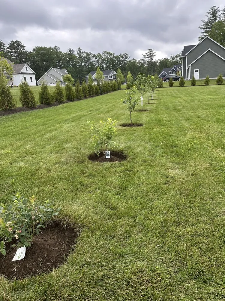 Affordable lawn care service in Methuen, MA by Milton Landscape and Construction