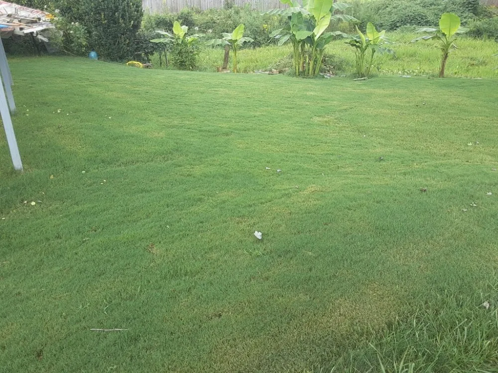 Local garden landscaping with custom design in Lilburn, GA by Milton Landscaping Service