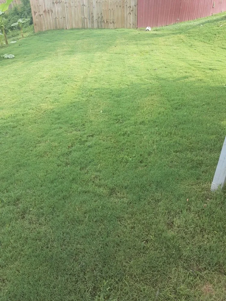 Trusted yard maintenance with custom design in Lilburn, GA by Milton Landscaping Service