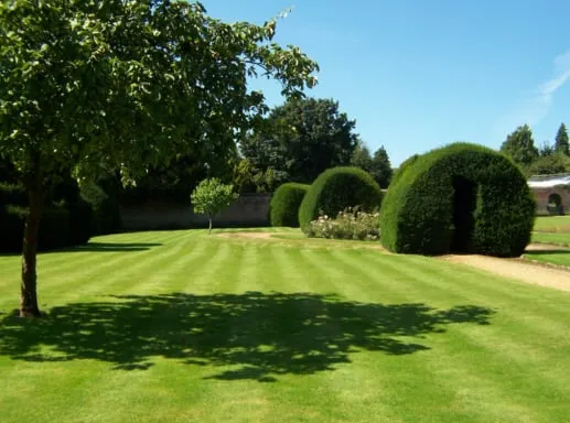 Expert landscaping services in Milton, GA by Milton Lawn Care