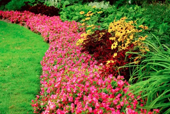 Reliable outdoor landscaping for year-round maintenance in Milton, GA by Milton Lawn Care