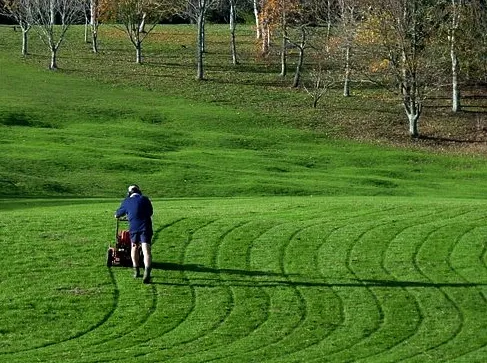 Top-rated landscaping services for year-round maintenance in Milton, GA by Milton Lawn Care