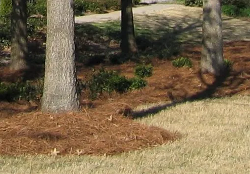 Reliable landscape installation experts serving Milton, GA - Milton Lawn Care