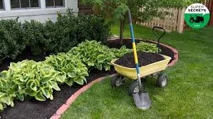 Reliable yard cleanup service in Woodstock, GA by Milton Lawn Services