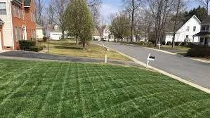 Local lawn mowing service for outdoor upgrades in Woodstock, GA by Milton Lawn Services