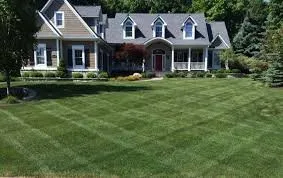 Expert yard cleanup service in Woodstock, GA by Milton Lawn Services