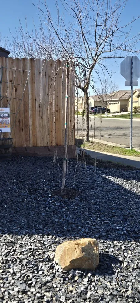 Reliable lawn care service for outdoor upgrades across Sacramento, CA - Milton's Cocrete