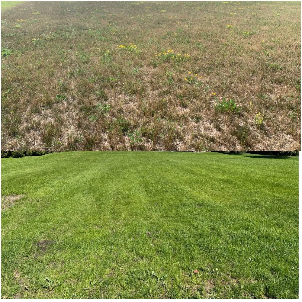 Affordable landscaping services in Milwaukee, WI by Milwaukee Lawn Care