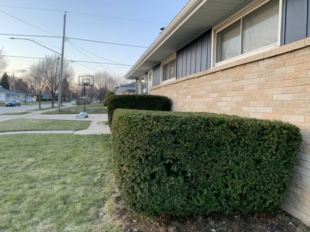 Trusted landscaping services in Milwaukee, WI by Milwaukee Lawn Care