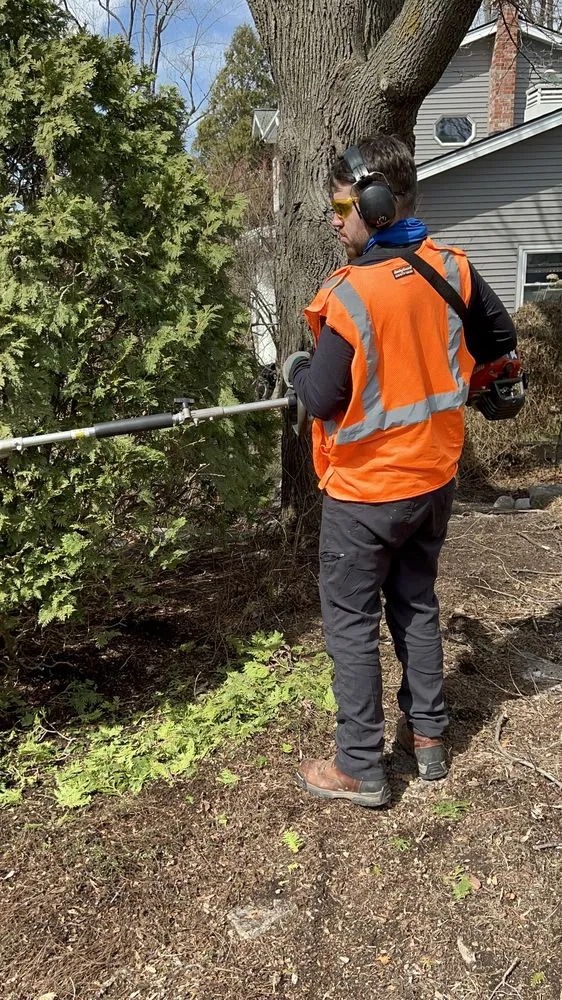 Affordable landscape design in Milwaukee, WI - Milwaukee Lawn Care