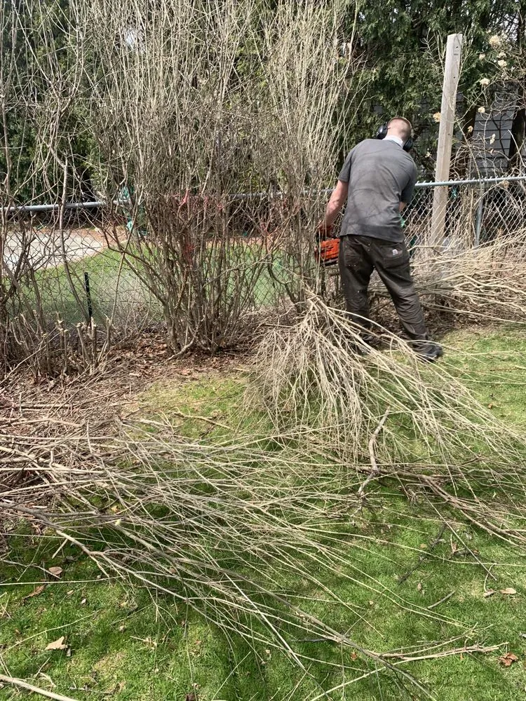 Expert garden landscaping in Milwaukee, WI - Milwaukee Lawn Care