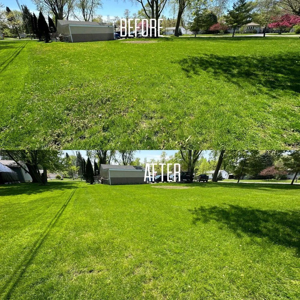 Affordable landscape design experts serving Milwaukee, WI - Milwaukee Lawn Care