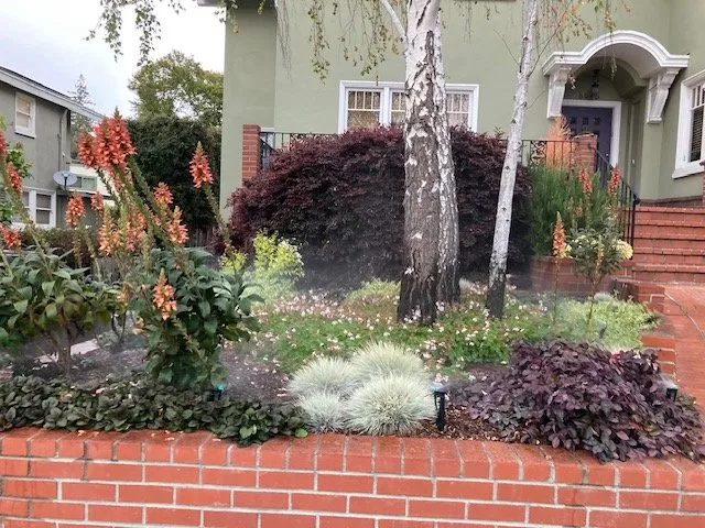Affordable landscaping services for beautiful yards in Oakland, CA by Mimi's Landscaping