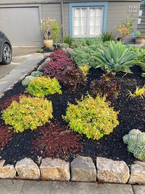 Local yard maintenance for year-round maintenance in Oakland, CA by Mimi's Landscaping