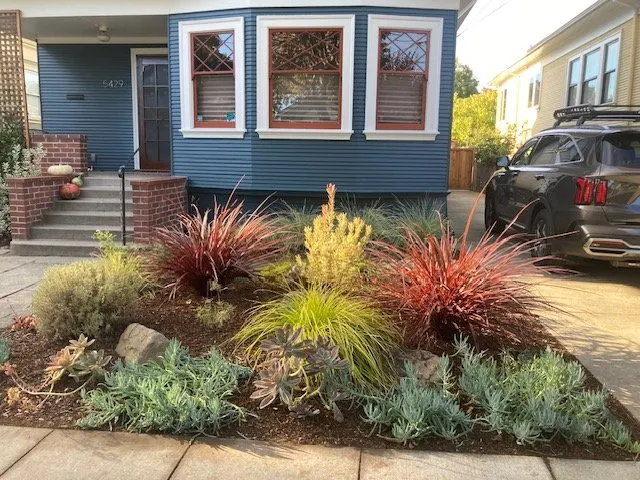 Trusted yard maintenance experts serving Oakland, CA - Mimi's Landscaping