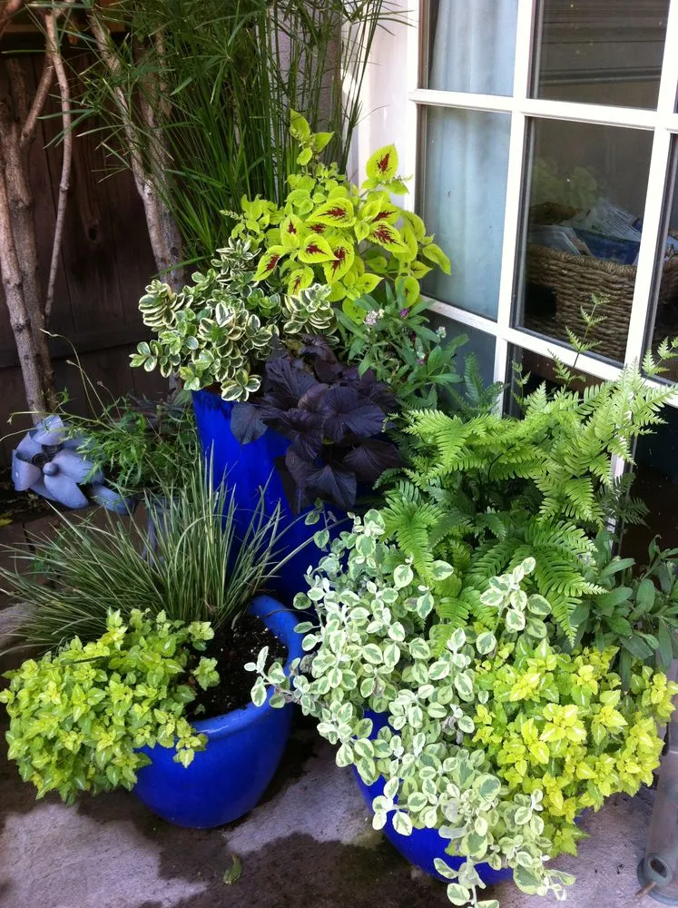 Affordable garden landscaping for outdoor upgrades across Oakland, CA - Mimi's Landscaping