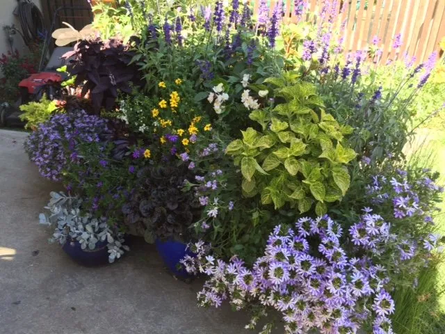 Professional landscape design for outdoor upgrades in Oakland, CA by Mimi's Landscaping