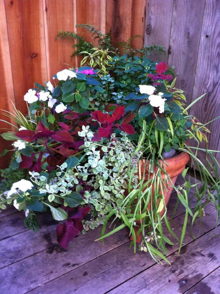 Expert residential landscaping in Oakland, CA - Mimi's Landscaping