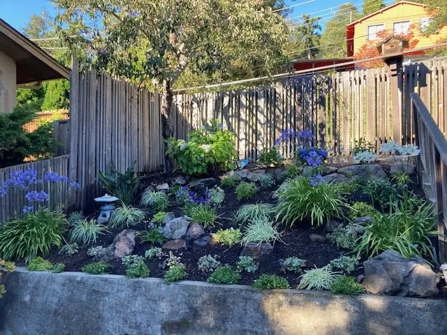 Local lawn mowing service in Oakland, CA by Mimi's Landscaping