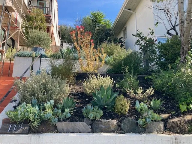 Local yard maintenance for outdoor upgrades across Oakland, CA - Mimi's Landscaping