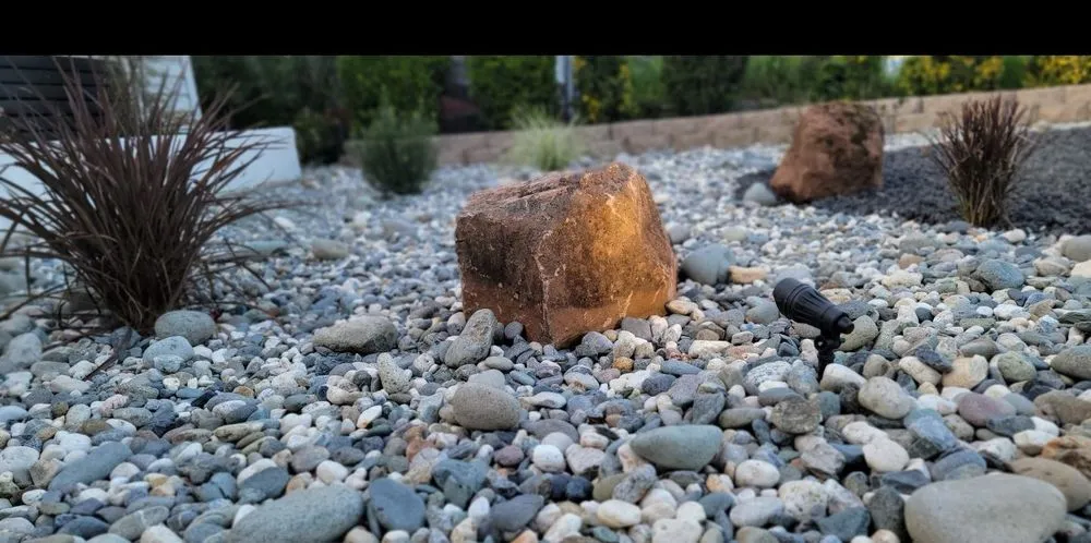 Top-rated yard maintenance in Carmichael, CA by Mims Outdoor Living