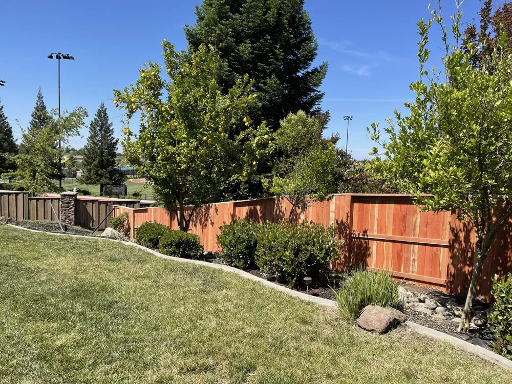 Trusted landscaping services for homes in Carmichael, CA by Mims Outdoor Living