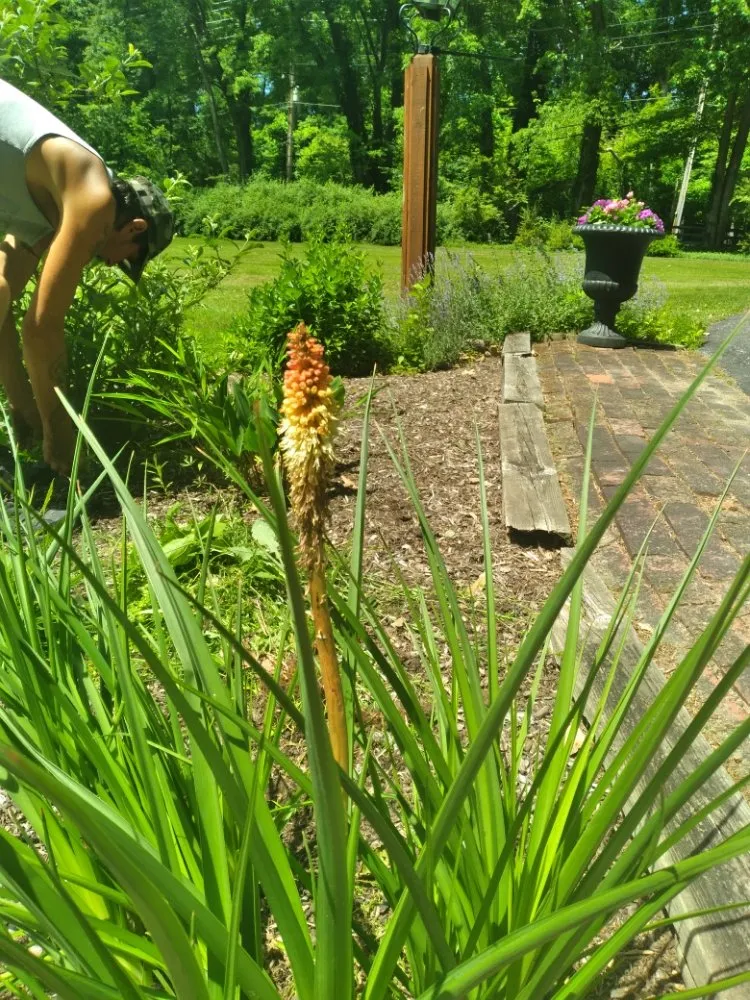Top-rated residential landscaping in Newbury Township, OH by Min