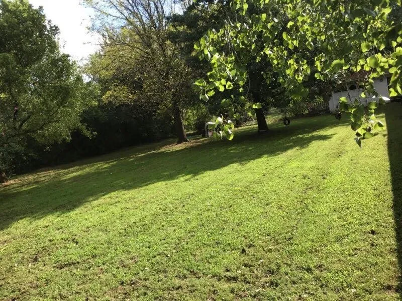 Custom lawn mowing service in Lexington, OK by Minadeo Escoe Mowing