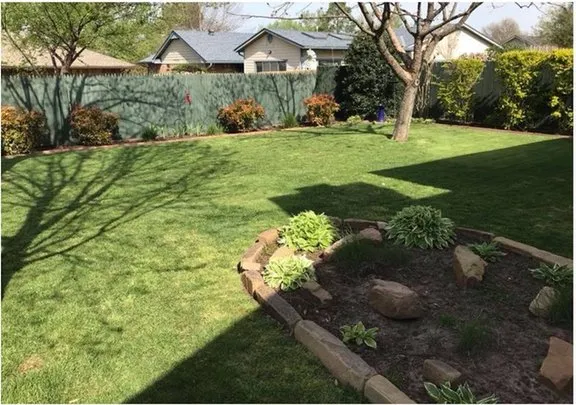 Reliable lawn mowing service in Lexington, OK - Minadeo Escoe Mowing