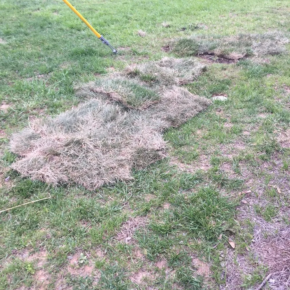 Local landscape installation for outdoor upgrades in Mount Juliet, TN by Minchey's landscaping & design center