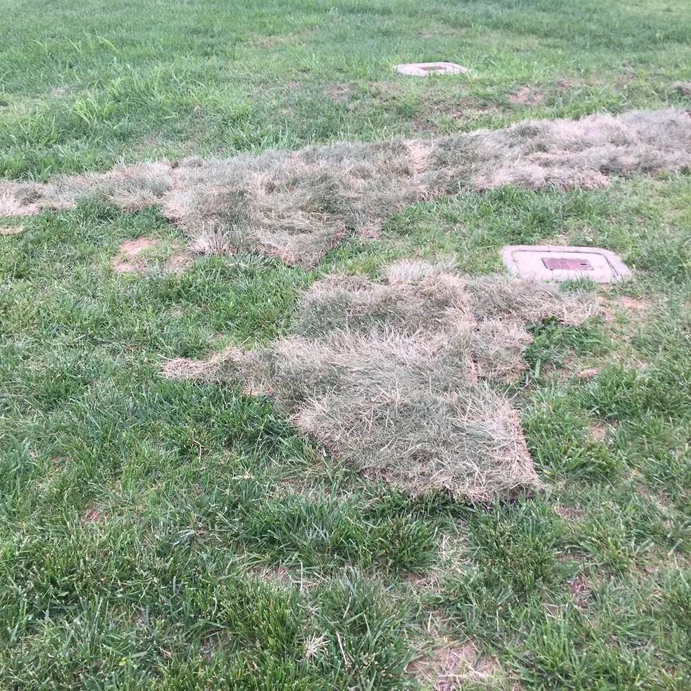 Local garden landscaping near you across Mount Juliet, TN - Minchey's landscaping & design center