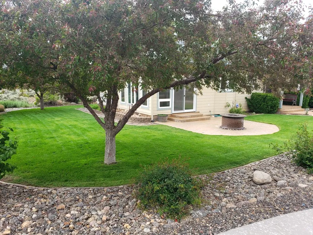 Affordable yard cleanup service experts serving Gardnerville, NV - Minden Yard Care