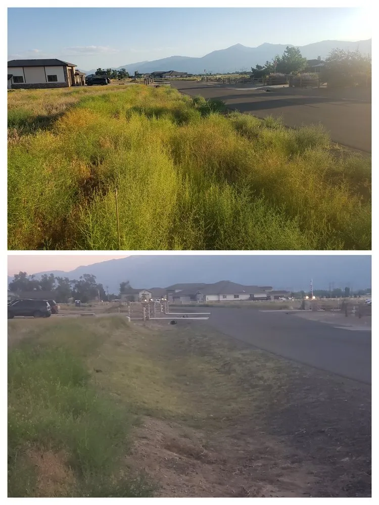 Custom landscape design in Gardnerville, NV - Minden Yard Care