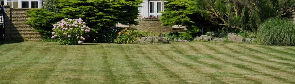 Reliable landscape installation in Florence, AL - Mindset Lawncare