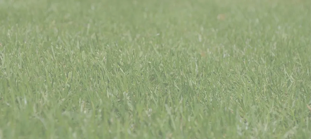 Local landscape installation in Florence, AL by Mindset Lawncare