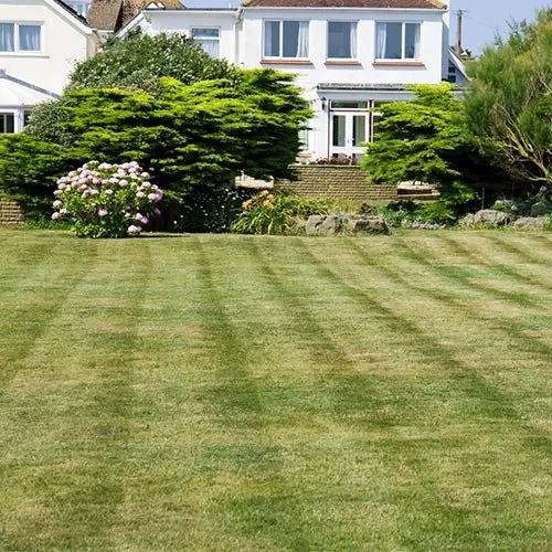 Affordable lawn mowing service in Florence, AL - Mindset Lawncare