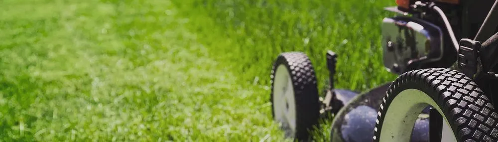 Affordable residential landscaping experts serving Florence, AL - Mindset Lawncare