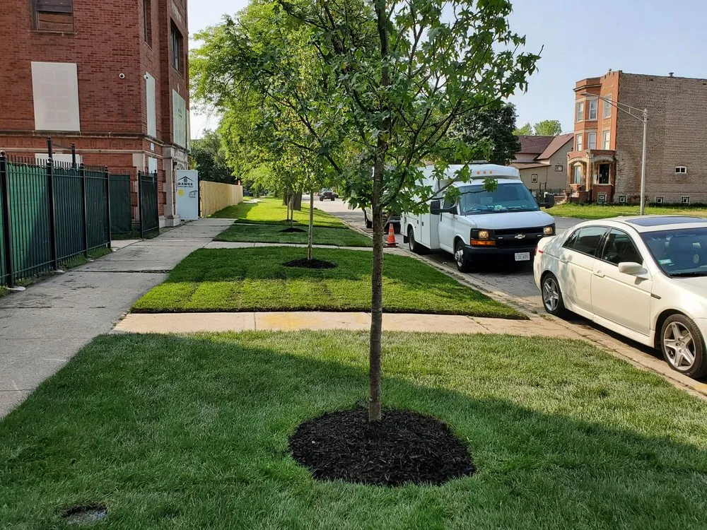 Local garden landscaping experts serving Chicago, IL - Mingo & Sons Lawn & Landscape