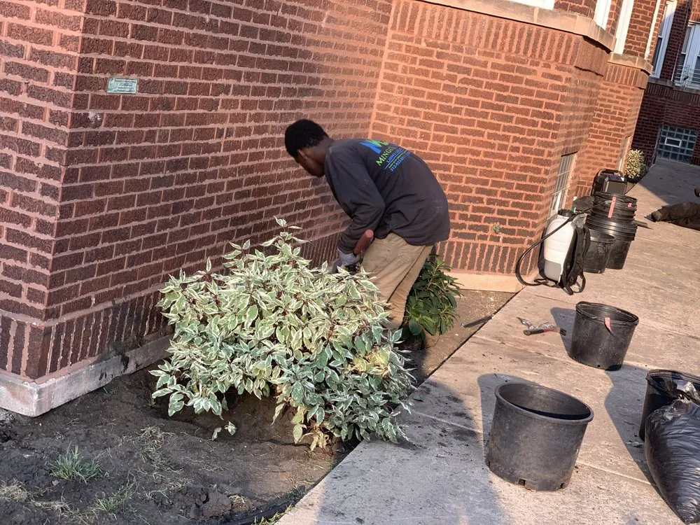 Affordable landscape installation with custom design in Chicago, IL by Mingo & Sons Lawn & Landscape