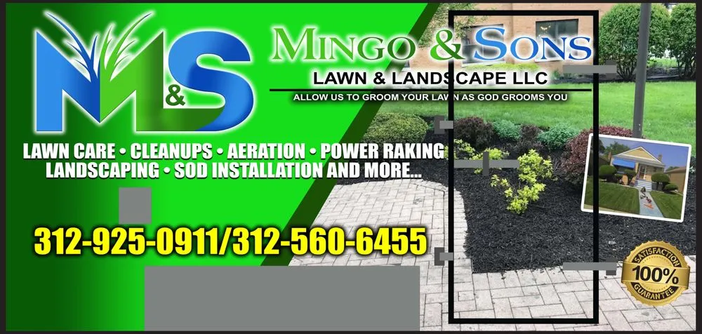 Trusted yard cleanup service in Chicago, IL by Mingo & Sons Lawn & Landscape