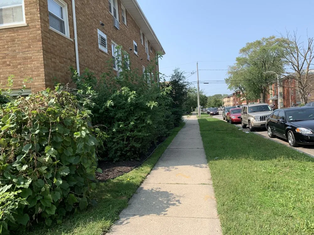 Affordable lawn care service in Chicago, IL - Mingo & Sons Lawn & Landscape